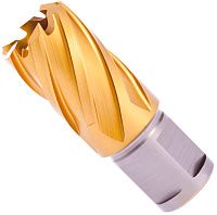 Сверло по металлу корончатое 20x63/30 мм HSS-TiN Weldon19 Terrax by Ruko 108220TTX